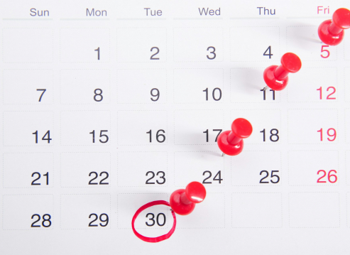 School Dates February 2024 – August 2025